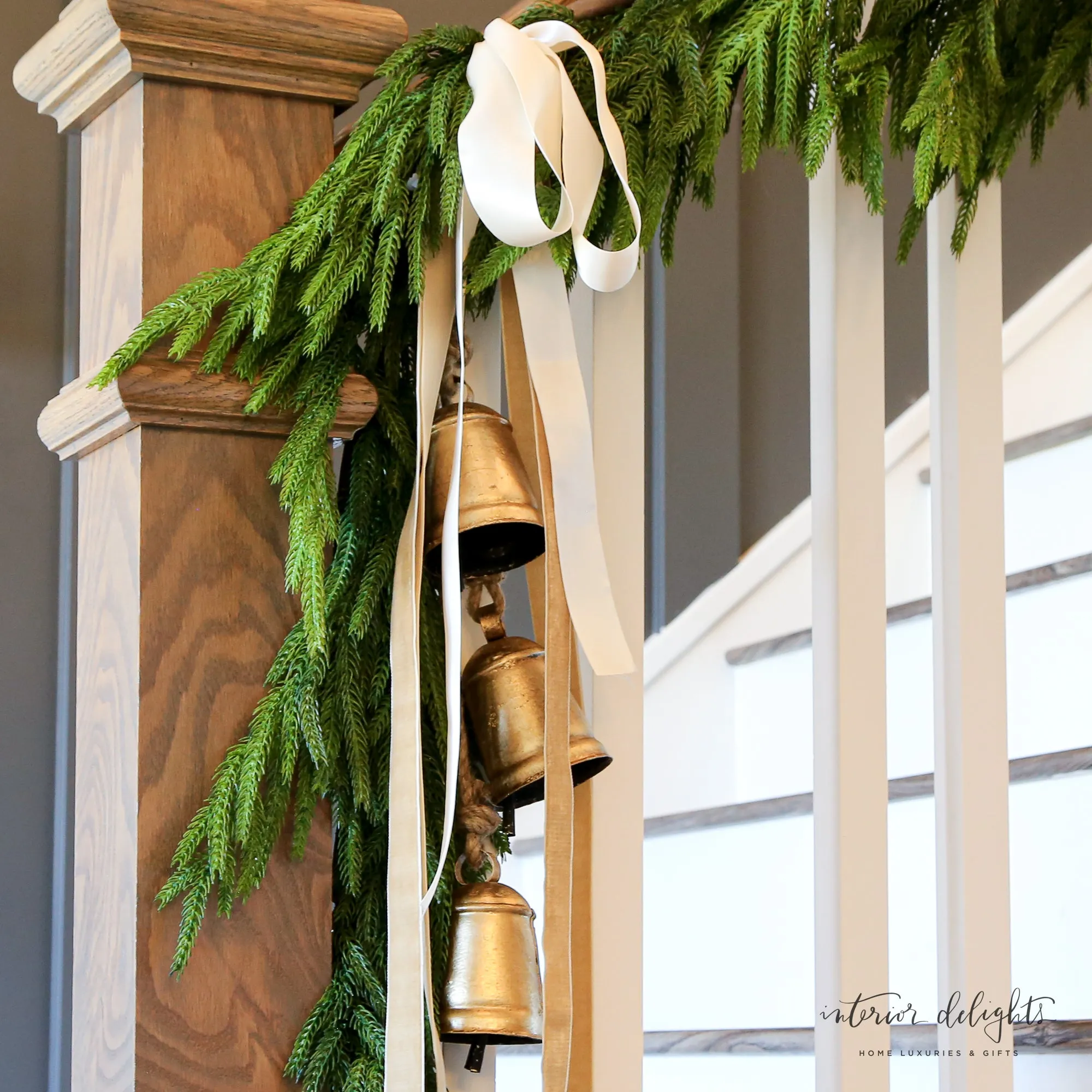 60" Natural Touch Norfolk Pine Garland