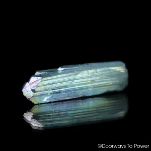 Aqua Aura Danburite Tantric Twin Crystal & Synergy 12 Stone