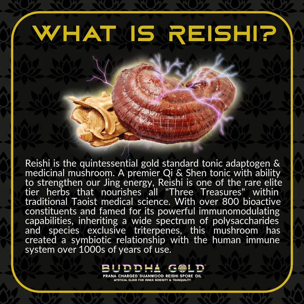 Buddha Gold Reishi Spore Oil - 30ml (60 Servings)