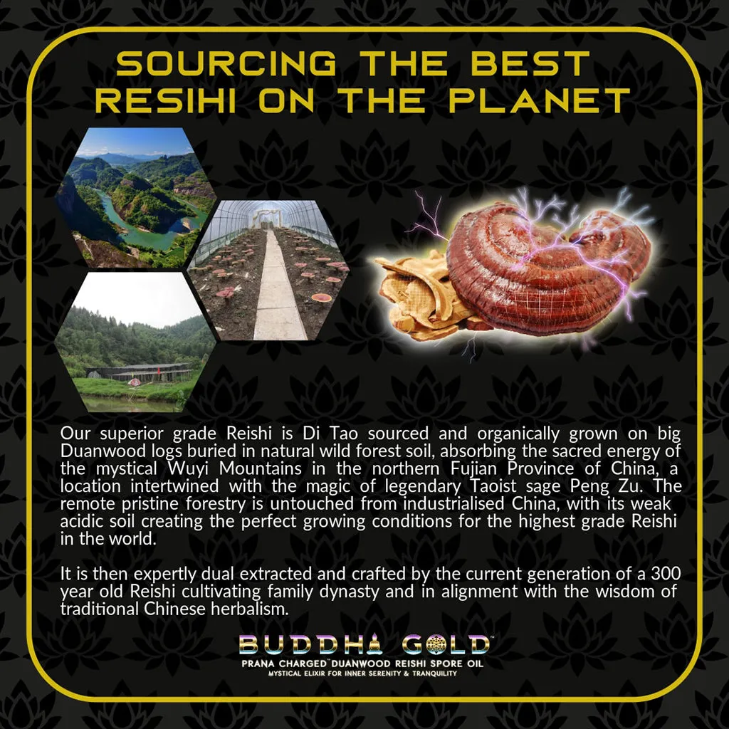 Buddha Gold Reishi Spore Oil - 30ml (60 Servings)