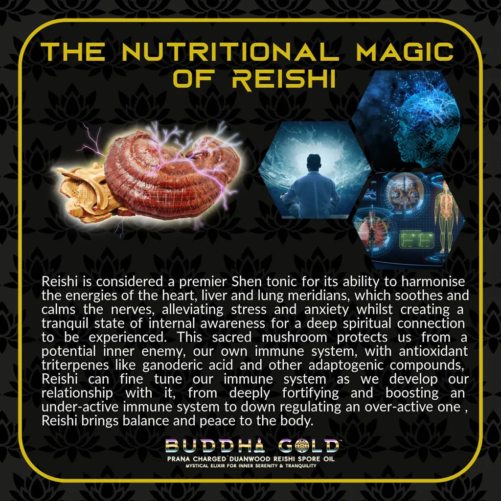 Buddha Gold Reishi Spore Oil - 30ml (60 Servings)