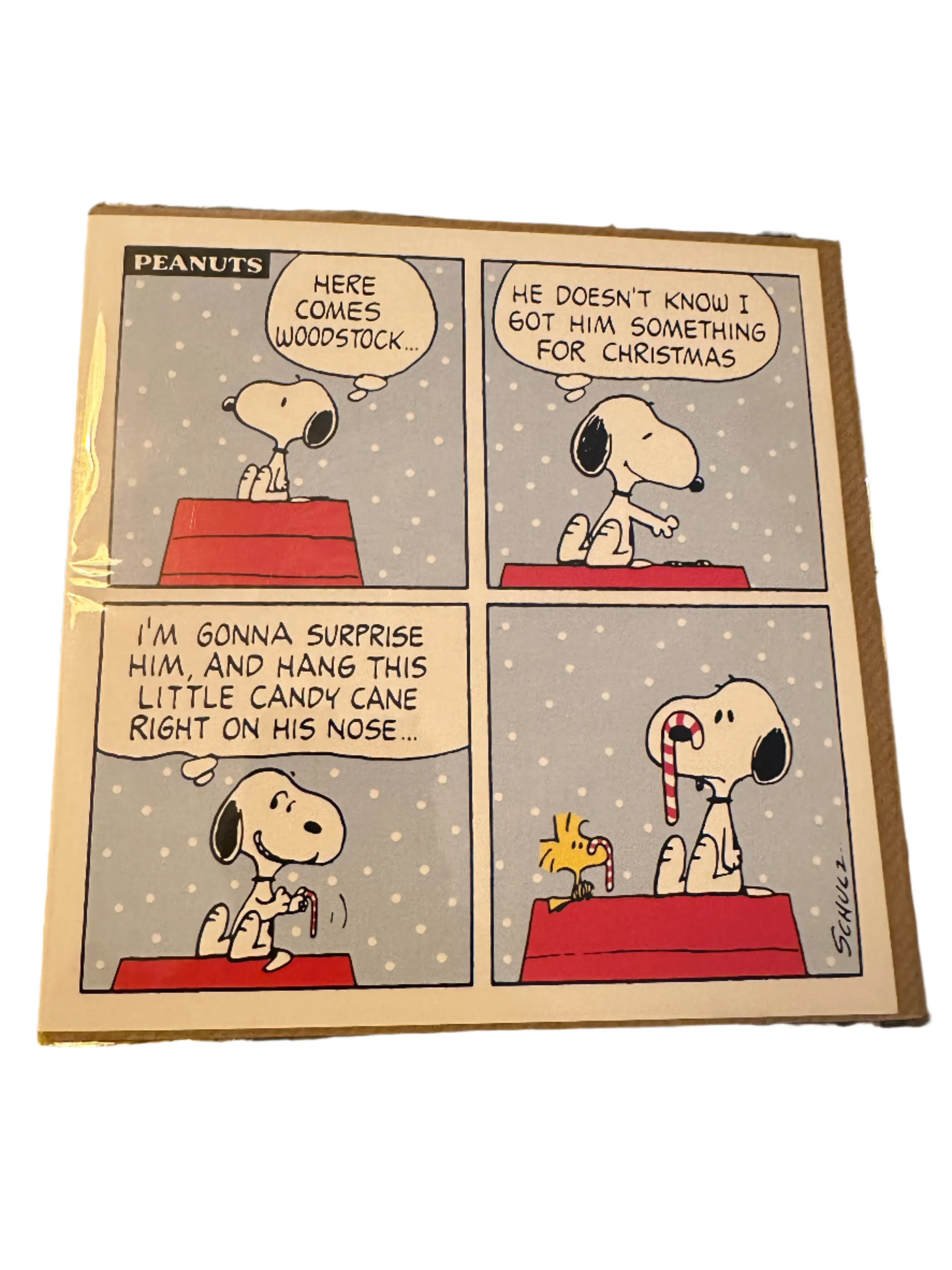 Hype Cards - Snoopy Christmas Comic Strip - SNOOPX3