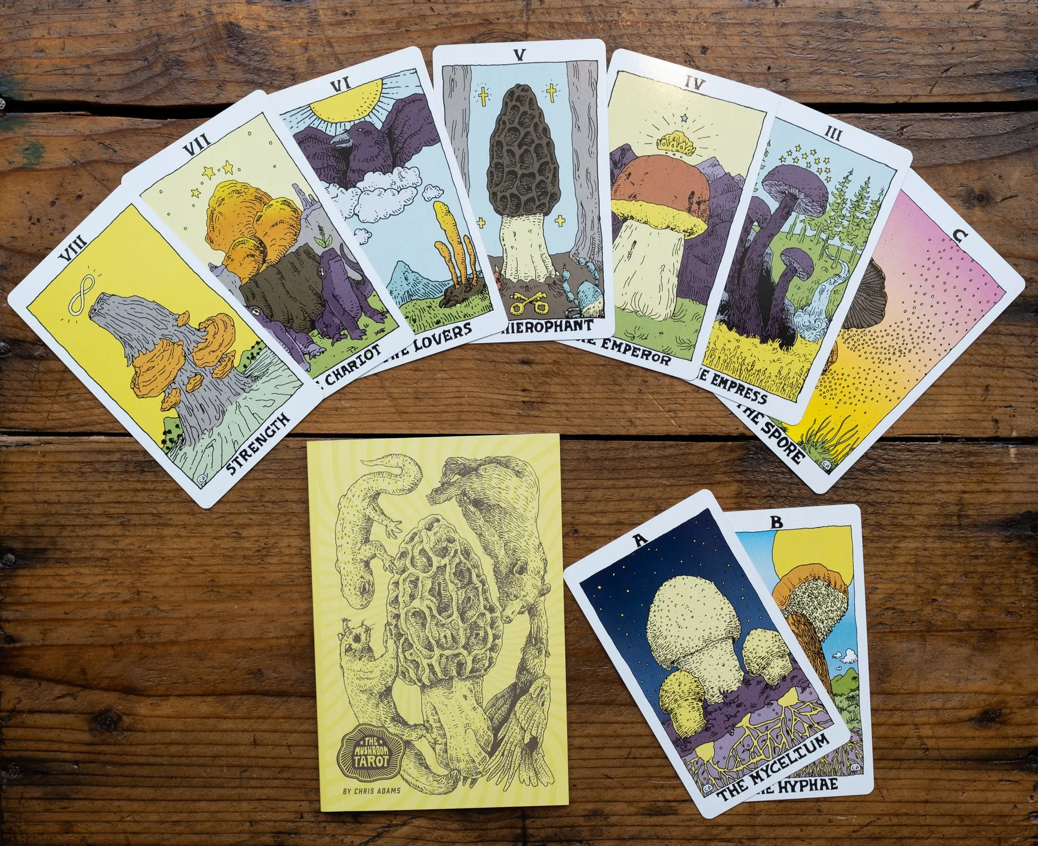 Tarot Cards, Guidebooks, and Journals